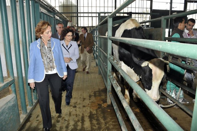 Consejera Agricultura En Talavera                 