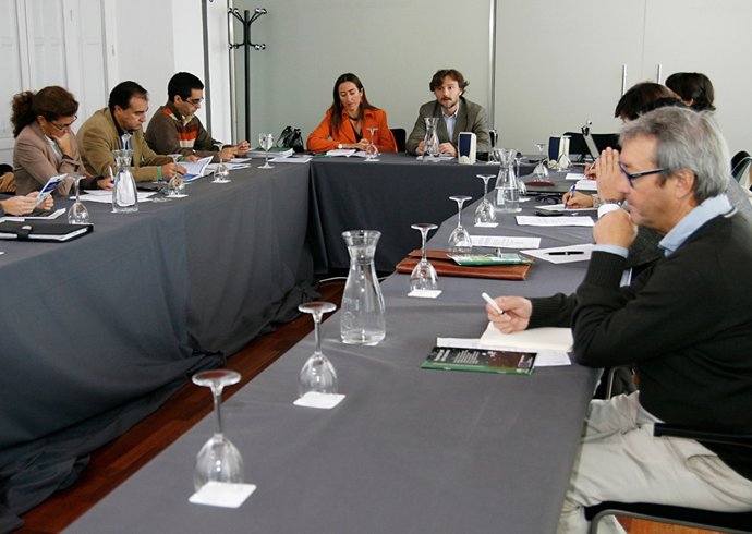 Reunión Del Comité Asesor Del Reglamento De Contaminación Lumínica