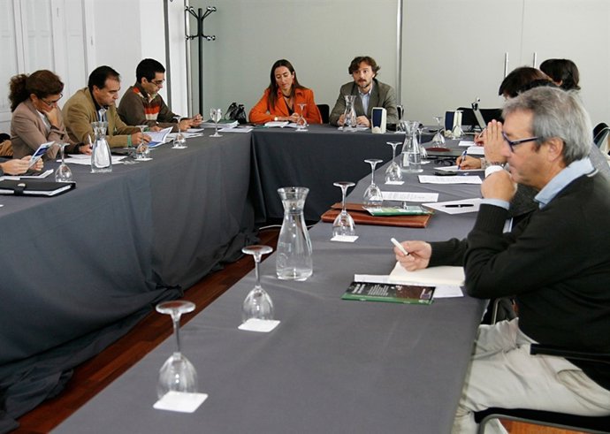 Reunión Del Comité Asesor Del Reglamento De Contaminación Lumínica