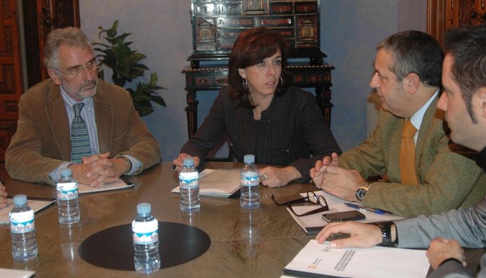 Fernández De Mesa, Ceballos, Fuentes Y Criado Durante La Reunión