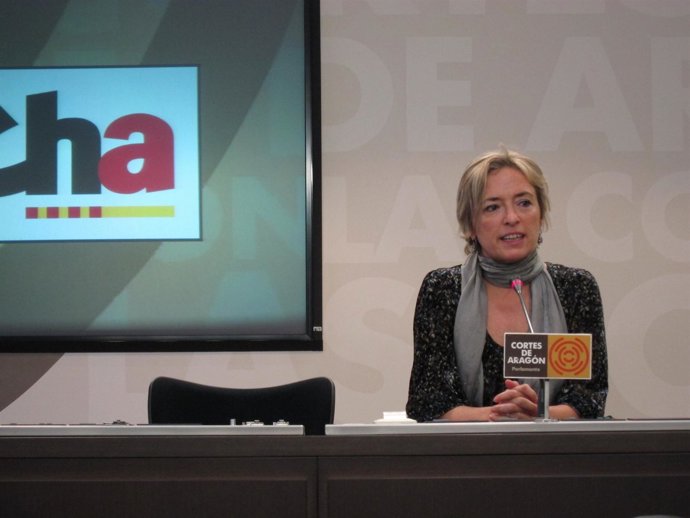 Nieves Ibeas, Durante Su Comparecencia De Hoy