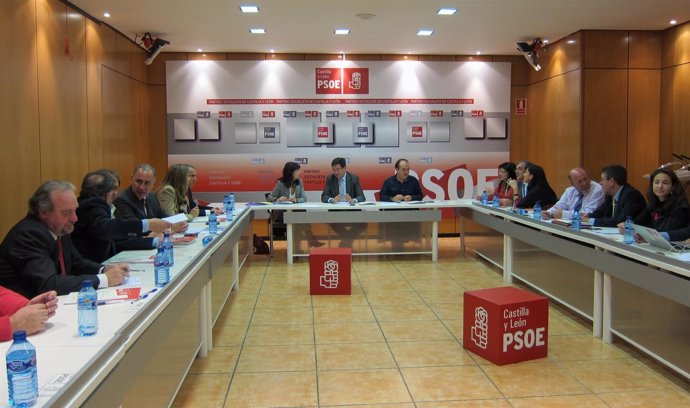 Imagen De La Comisión Ejecutiva Autonómica Del PSOE Tras El 20N