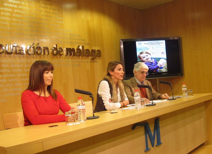 Diputación, Ayuntamiento De Málaga Y Bancosol