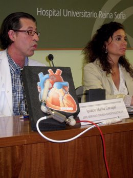 Presentación Del Primer Implante De Corazón Artificial Permanente En Reina Sofía