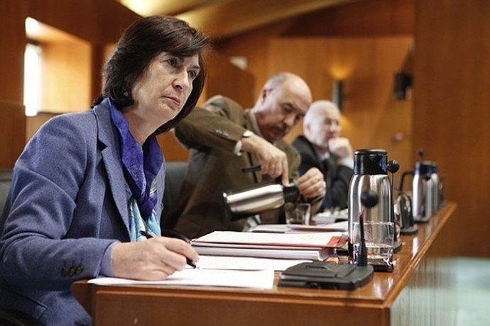 La Portavoz Socialista De Esta Comisión, Ana Hernández