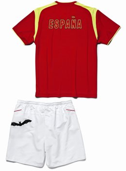 Equipación David Ferrer