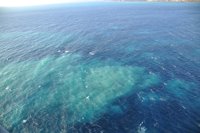 El Hierro registró 35 sismos con un magnitud máxima de 3.3 grados