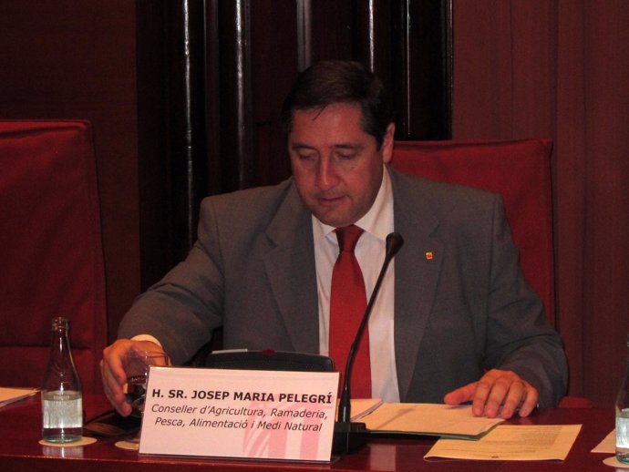 Josep Maria Pelegrí