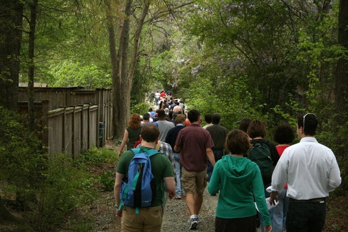 Andar, pasear, actividad, senderismo