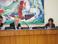 PP defiende atención sanitaria programada para "quien corresponde y sin picaresca" entre críticas de PSOE y BNG