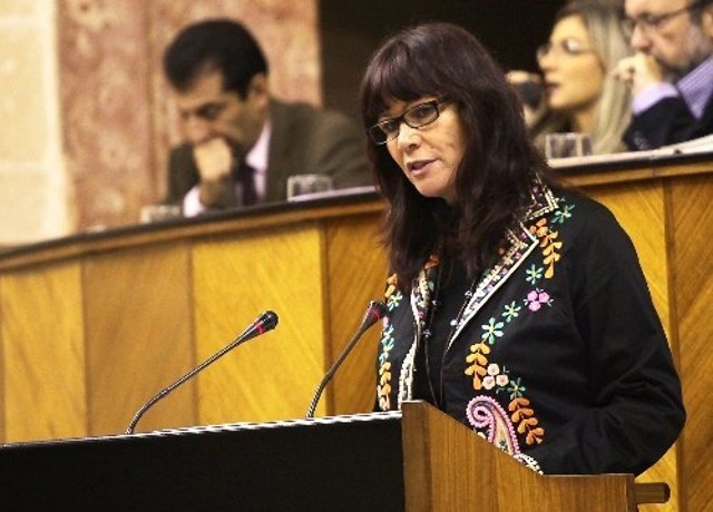 Micaela Navarro Interviene En El Pleno Del Parlamento