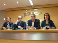 Ripoll asegura que el caso 'Brugal' no ha influido en su decisión de dimitir al frente del PP de Alicante