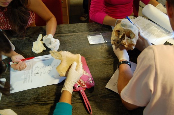 Taller Con Restos Óseos