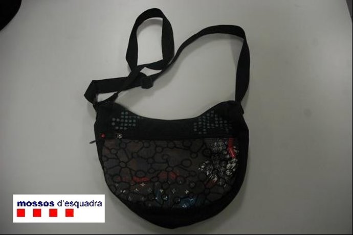 Bolso Robado