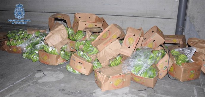 Cajas De "Banano De Primera Calidad" Que Ocultaban Más De 550 Kilos De Cocaína