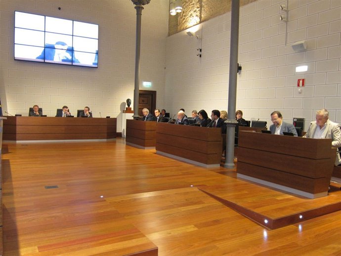 La DPZ Ha Celebrado Pleno Extraordinario