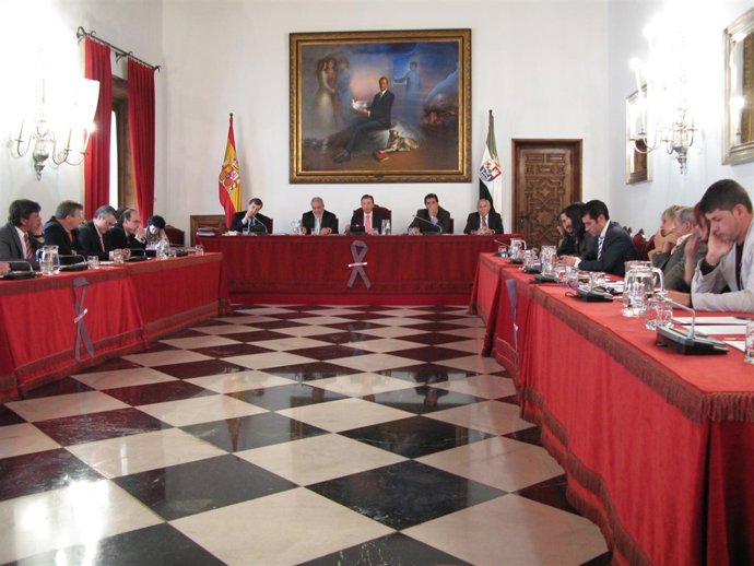 Pleno Diputación