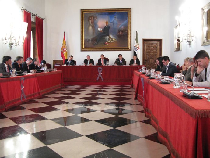 Pleno Diputación