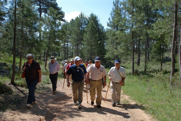 Mayores Paseando, Senderismo
