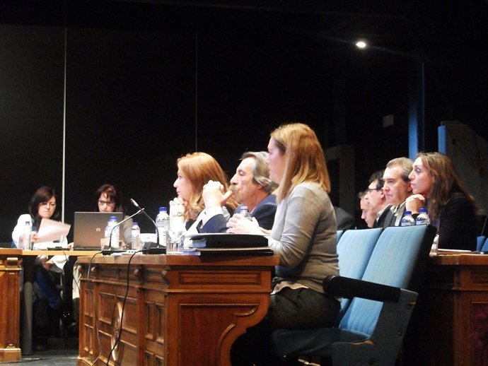 Gobierno De Alcorcón Modifica La Plantilla Del Patronato De Deportes 