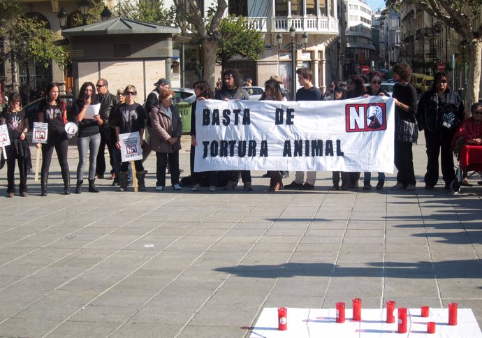 Imagen De La Concentración Contra La Tortura Animal