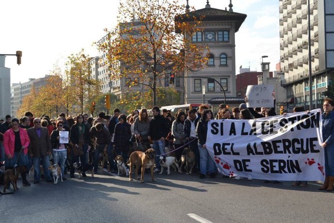 Manifestación En Gijón En Defensa De La Gestión Del Albergue