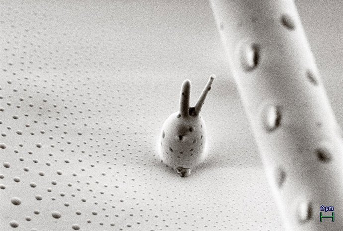 Exposición Fotográfica En Baluarte.