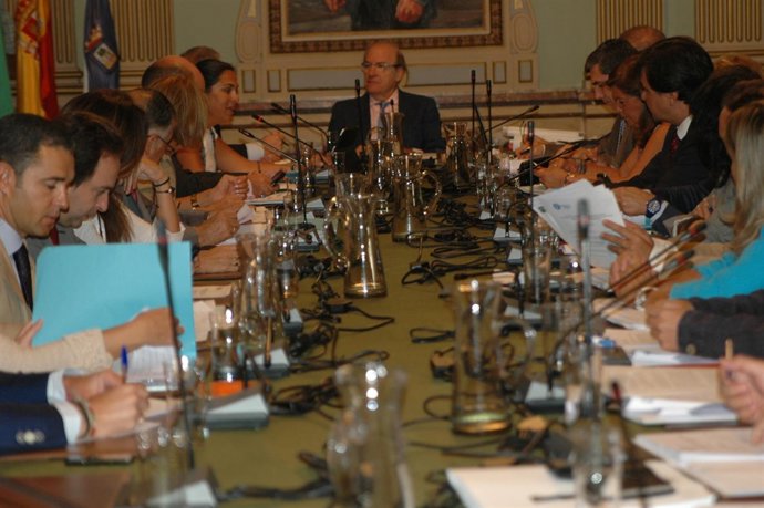 Pleno Del Ayuntamiento De Huelva