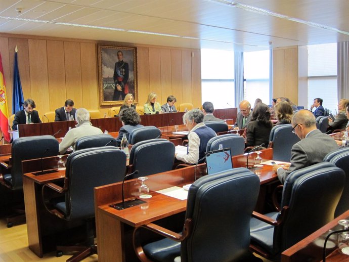 Comisión De Asuntos Sociales En La Asamblea De Madrid