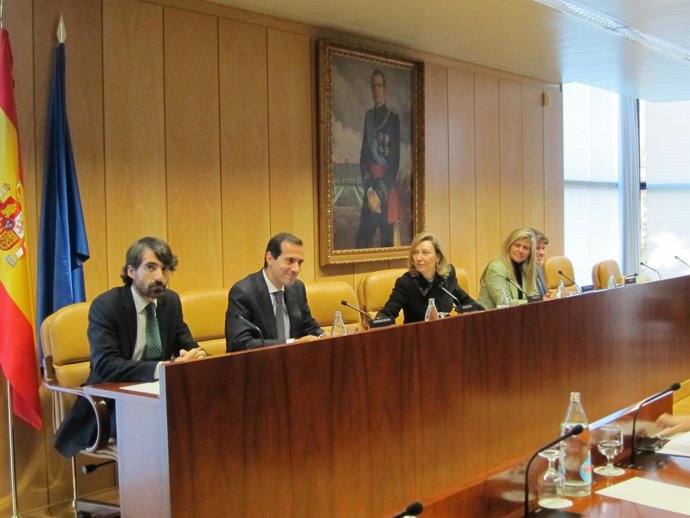 Comparecencia De Salvador Victoria En La Asamblea De Madrid