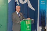 La Junta destaca el buen comportamiento del turismo internacional en Andalucía, con datos históricos