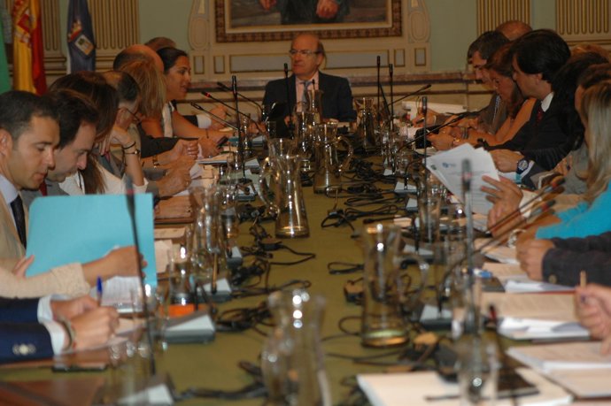 Pleno Del Ayuntamiento De Huelva