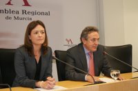 PSOE dice que el de Educación es un presupuesto "poco creíble, repleto de recortes y con muchas deudas"