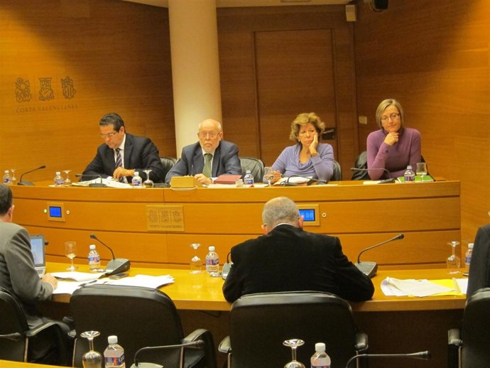 Comisión Parlamentaria