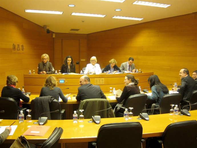 Comisión De Investigación Y Consumo De Las Corts