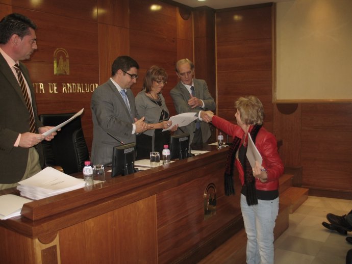 Entrega De Un Plan De Acción De Energía Sostenible Hoy