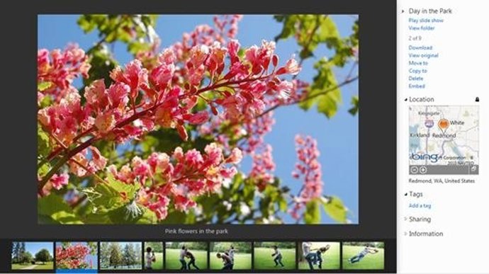 Imagen De La Galería De Fotos De Skydrive Por Microsoft 