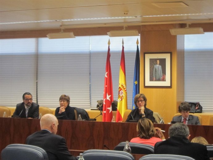 Comisión De Duplicidades En La Asamblea De Madrid