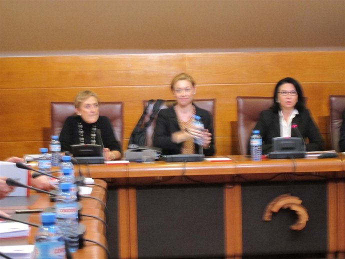 Mazas Durante Su Comparecencia