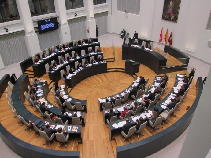 Pleno Del Ayuntamiento De Madrid