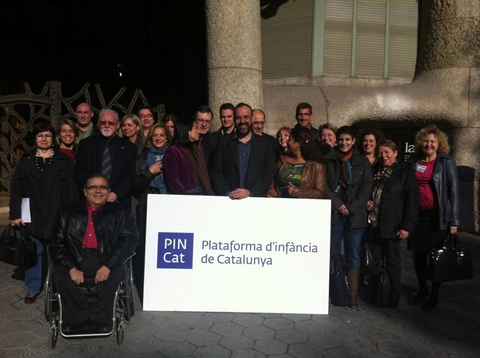 Presentación Pincat