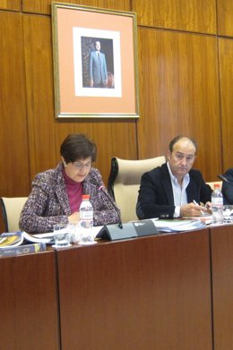 La Consejera De Obras Públicas Y Vivienda, Josefina Cruz