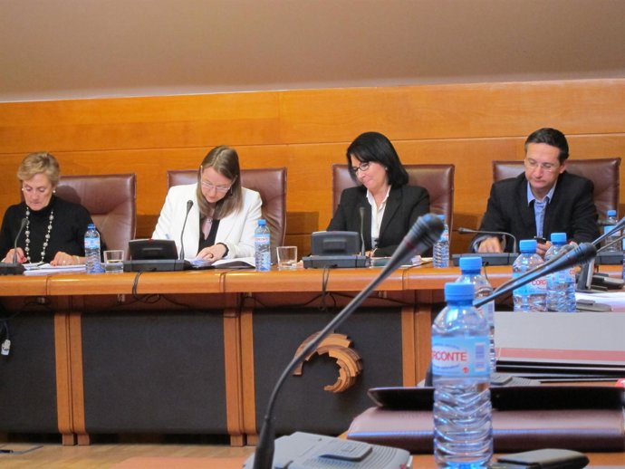 Leticia Díaz En El Parlamento 