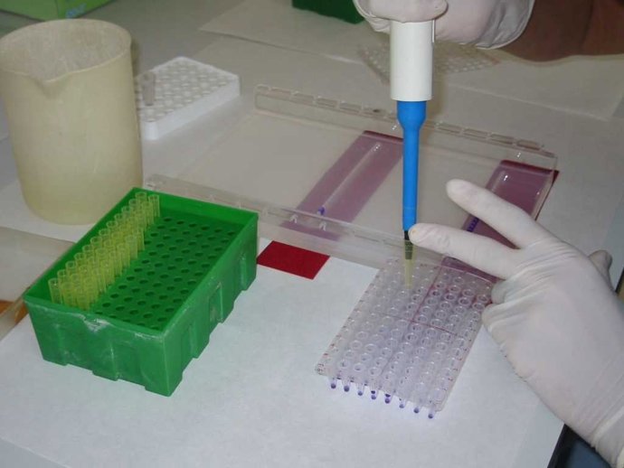 Recurso Sobre Investigación.