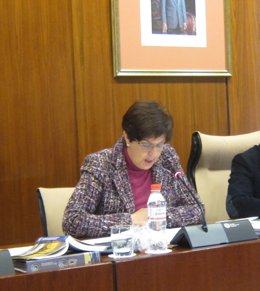 La Consejera De Obras Públicas Y Vivienda, Josefina Cruz Villalón, En Comisión