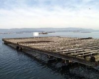 Intecmar detectó "niveles importantes" de la toxina PSP pero subraya que todos los controles están garantizados