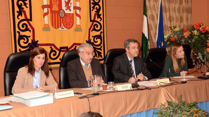 Pleno Noviembre Ayuntamiento De Estepona