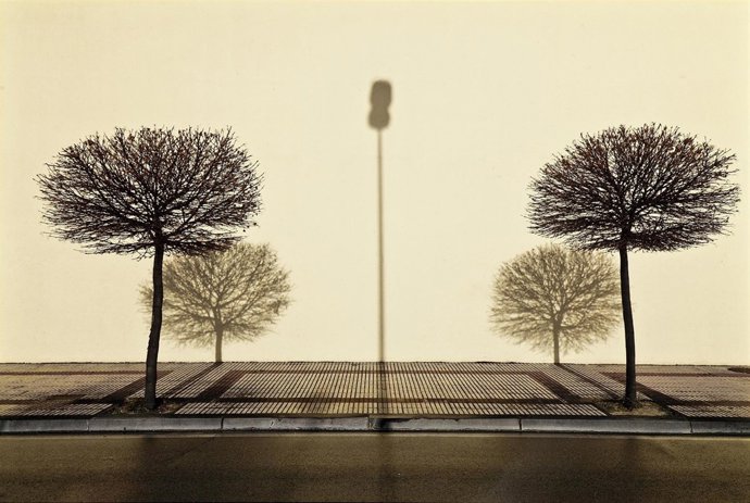 Fotografía Que Ha Logrado El Primer Premio Del Concurso 'Enfoca Pamplona'.