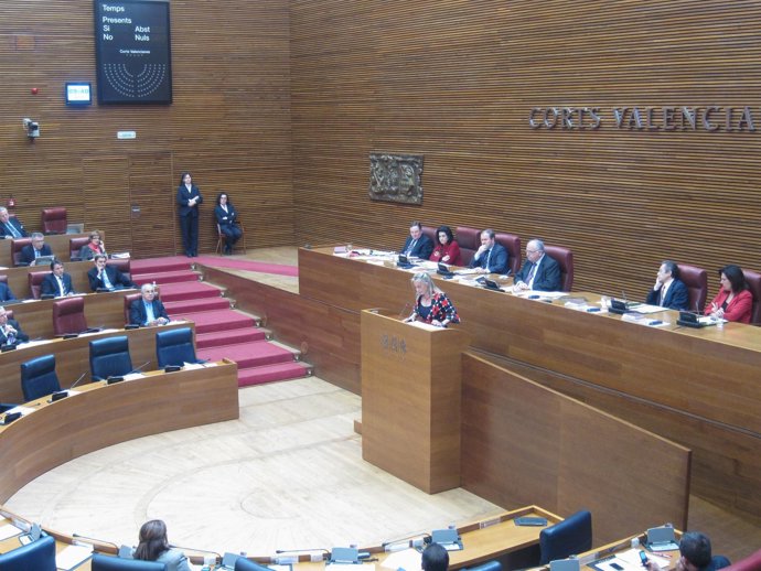 Castedo Interviene En El Pleno De Las Corts Para Hablar Del PGOU