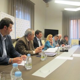  Isabel Carrasco Preside La Constitución Del Grupo De Trabajo Sobre Diputaciones